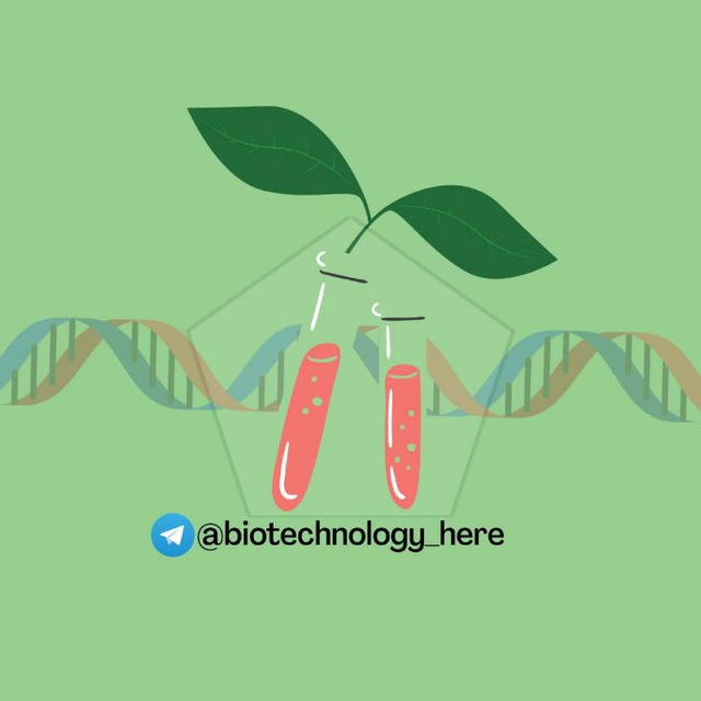 biotechnology_here