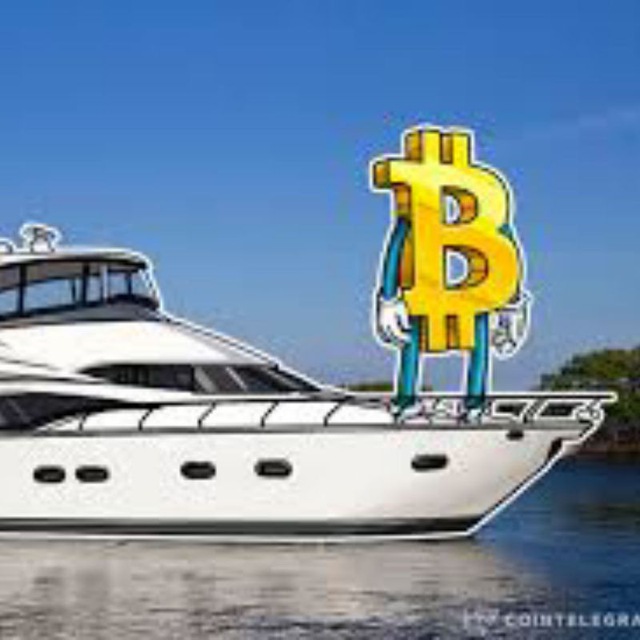 bitcoincruise