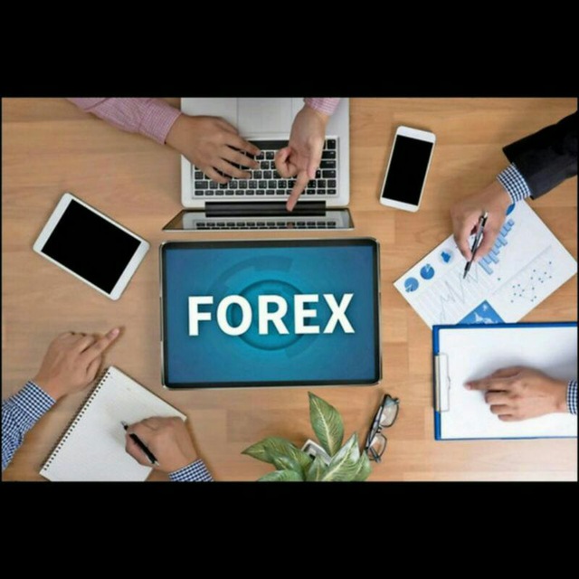 forexprotrades