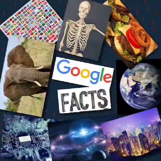 googlefactss