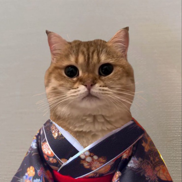 kimonostayson