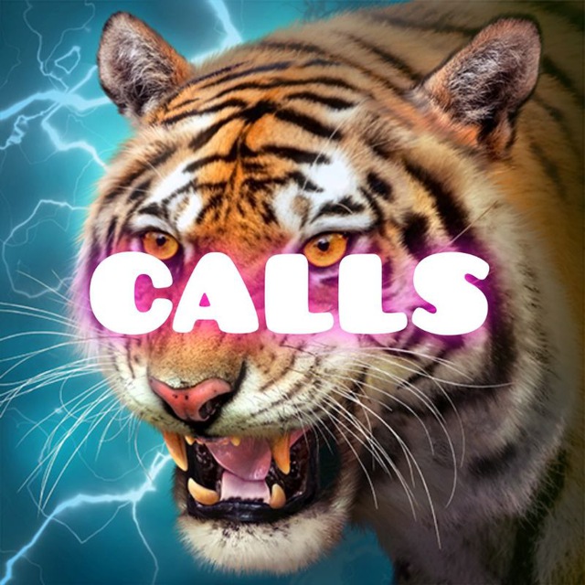 tiger_calls777